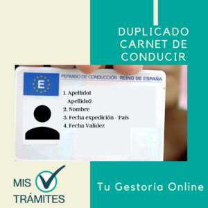 Duplicado del Carnet de Conducir