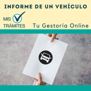 Informe Detallado de un Vehículo